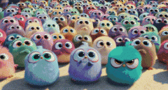 <strong>依法对该女子进行</strong>